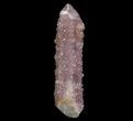 Cactus Quartz (Amethyst) Crystal - South Africa #64244-1